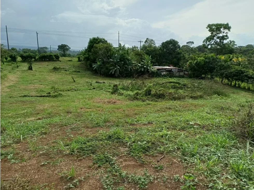 DESCRIPCIÓN DETALLADA: lote con topografía plana, ubicado sobre calle principal, con uso ...