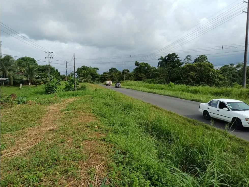 DESCRIPCIÓN DETALLADA: lote con topografía plana, ubicado sobre calle principal, con uso ..., photo 3