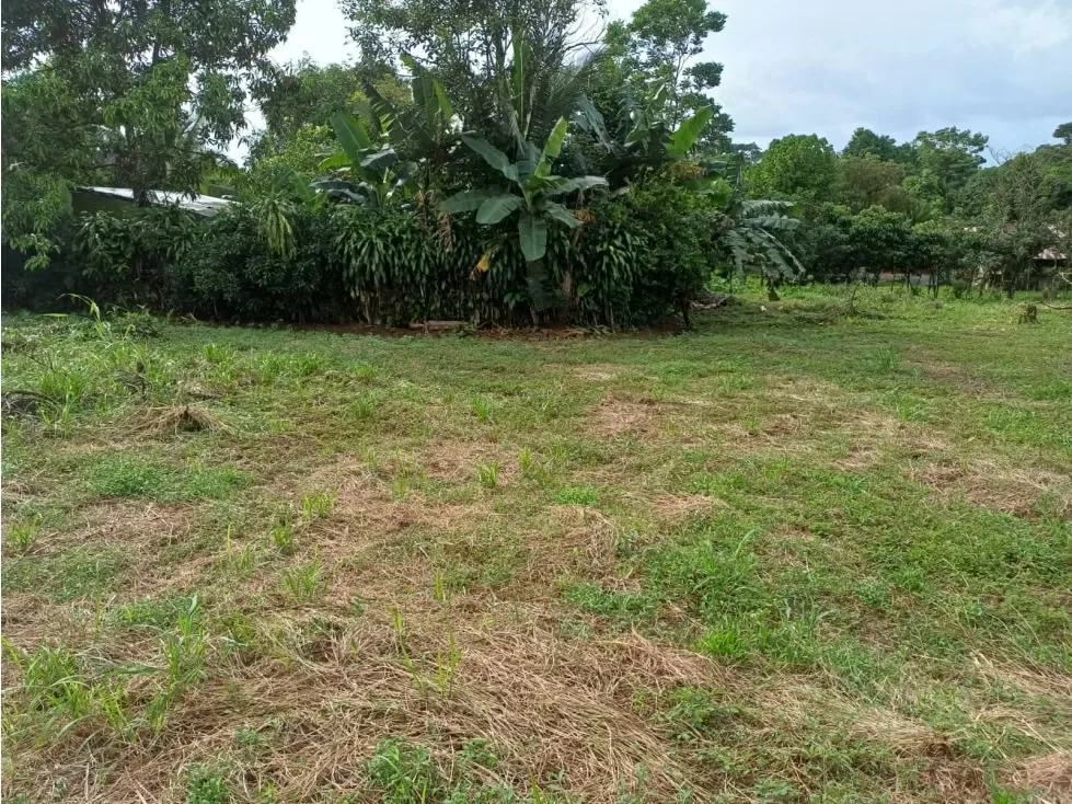 DESCRIPCIÓN DETALLADA: lote con topografía plana, ubicado sobre calle principal, con uso ..., photo 6