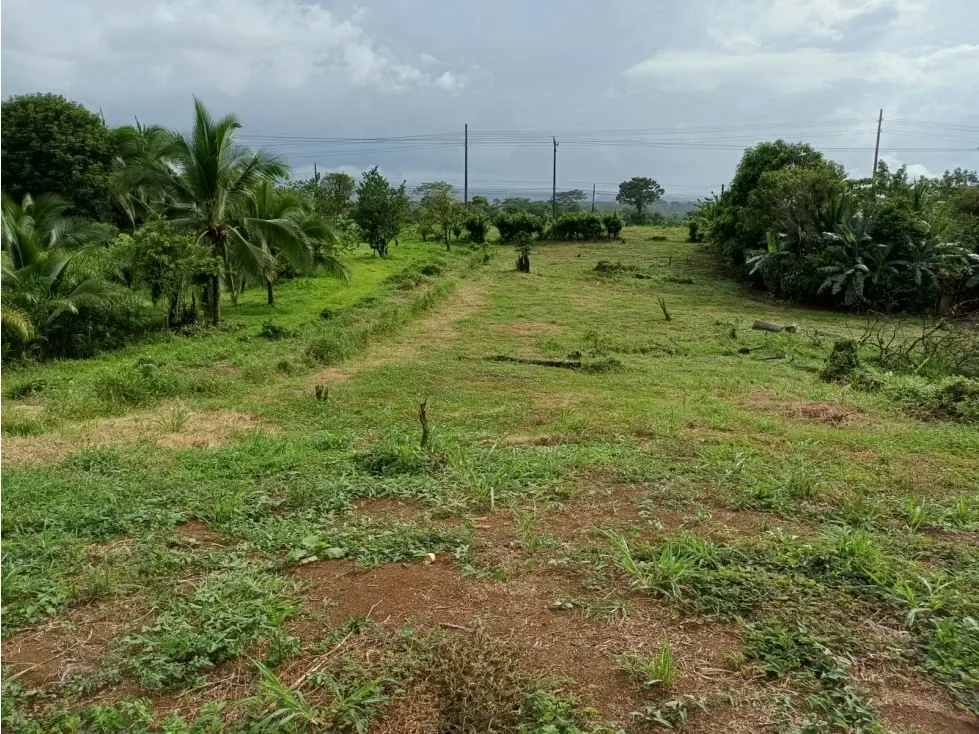 DESCRIPCIÓN DETALLADA: lote con topografía plana, ubicado sobre calle principal, con uso ..., photo 7