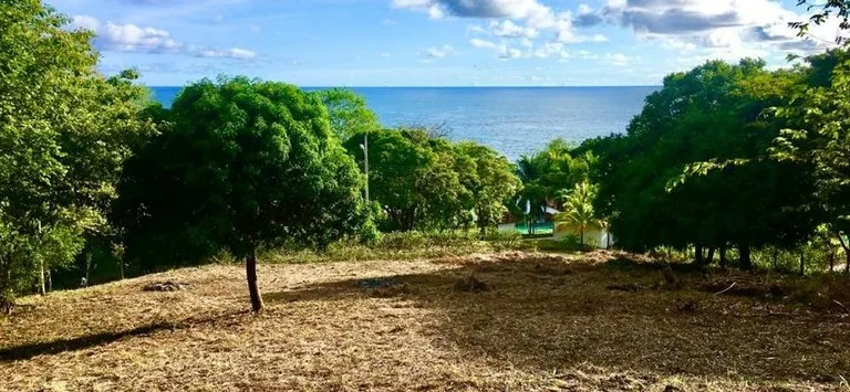 Oceanview property with a possible building  project of 10 apartments  for sale in Playa Carrillo, photo 2