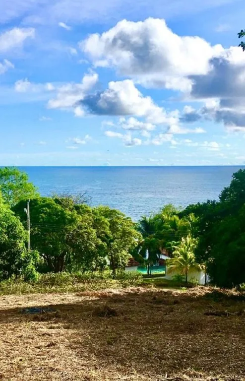 Oceanview property with a possible building  project of 10 apartments  for sale in Playa Carrillo, photo 5
