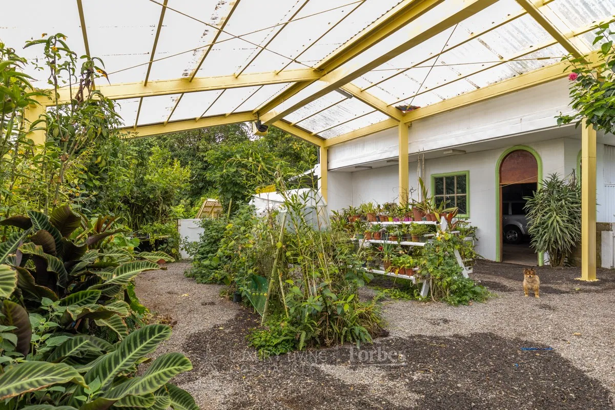21 hectares on Route 32 with luxury house - Botakina Estate, photo 20