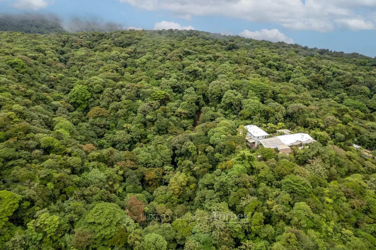 21 hectares on Route 32 with luxury house - Botakina Estate, photo 26