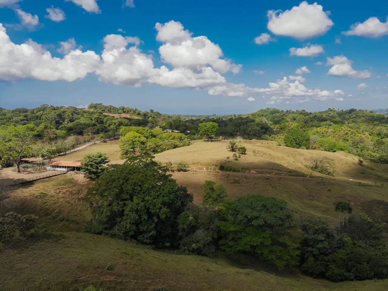 Naranjito Land For Sale: 43.5 Acres Near Manuel Antonio