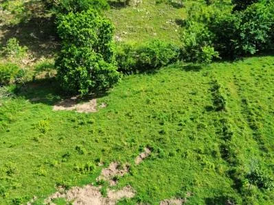 SPACIOUS LOT WITH PANORAMIC OCEAN VIEWS, IN SAN BUENAVENTURA DE CORONADO – 0.74 ACRES, photo 20