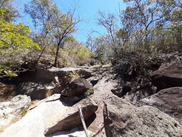 Reserve/Protected Area in El Salto