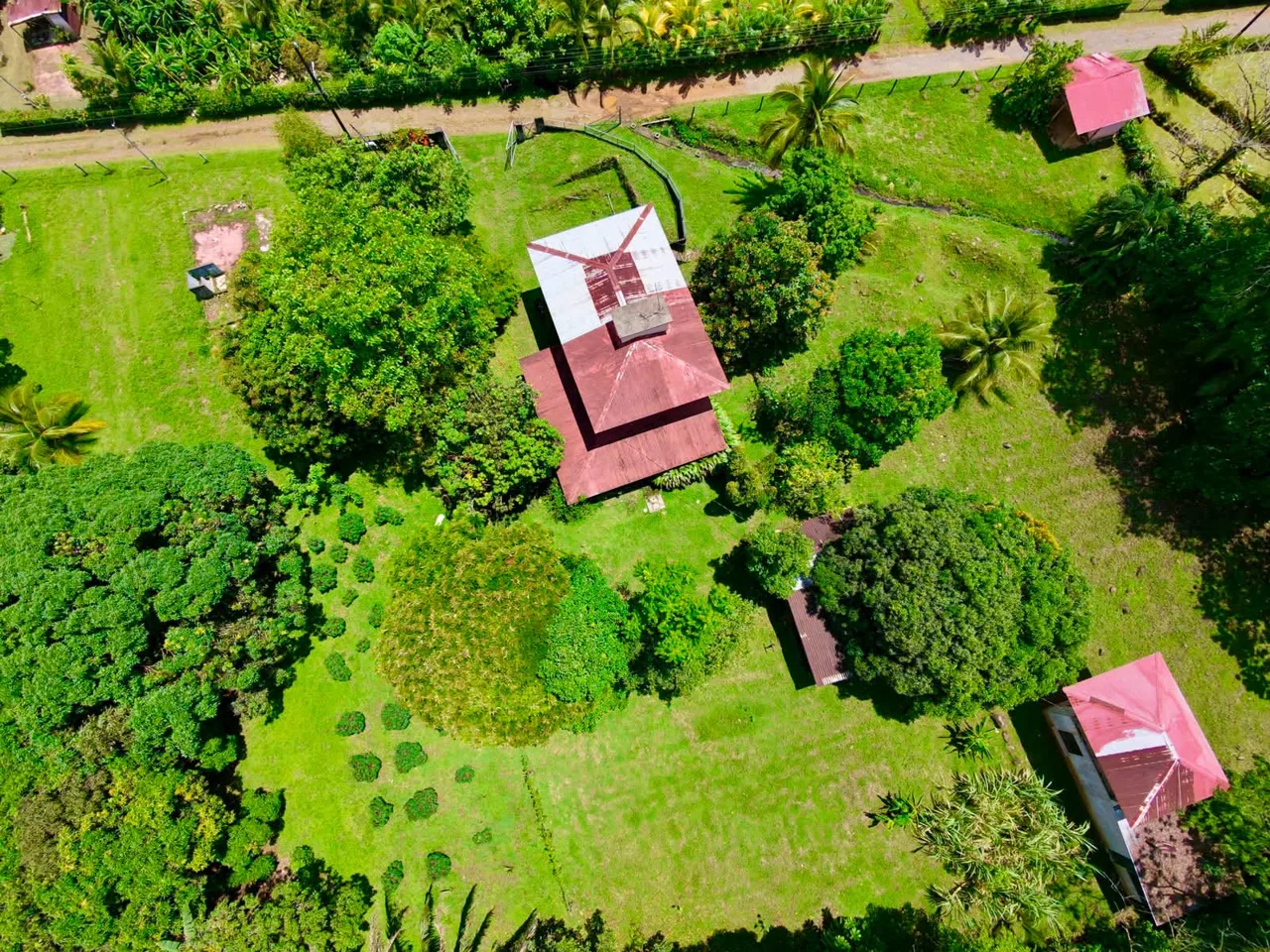 ¡Tu Quinta en La Tigra! Terreno Plano con Árboles Frutales y Amplia Casa, photo 2
