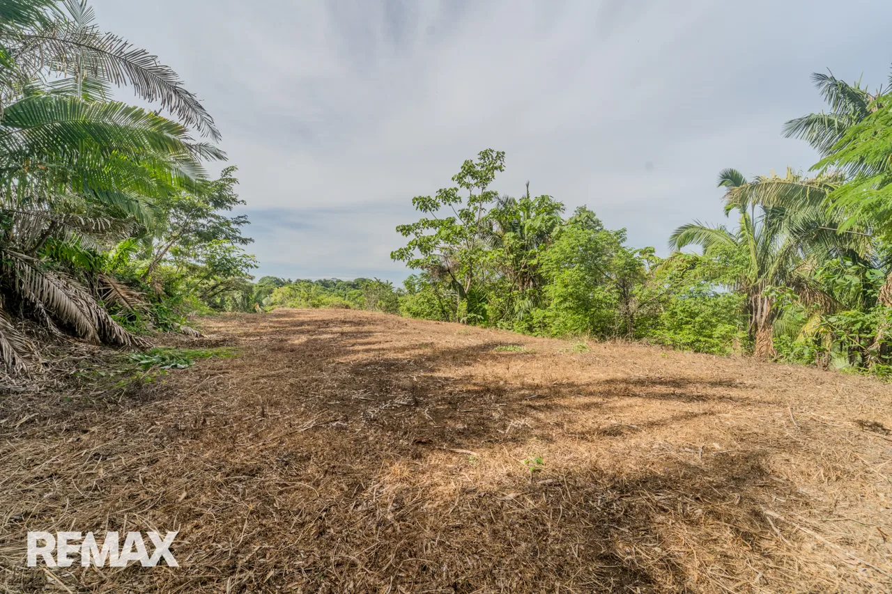 High-Visibility 1.02-Hectare Lot with 1-Bed Casita | San Fernando, photo 5
