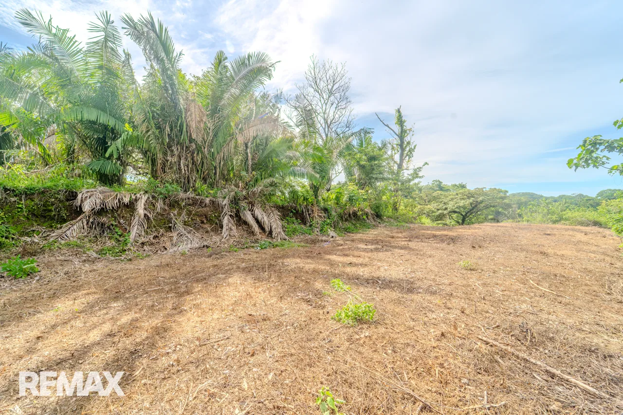 High-Visibility 1.02-Hectare Lot with 1-Bed Casita | San Fernando, photo 6