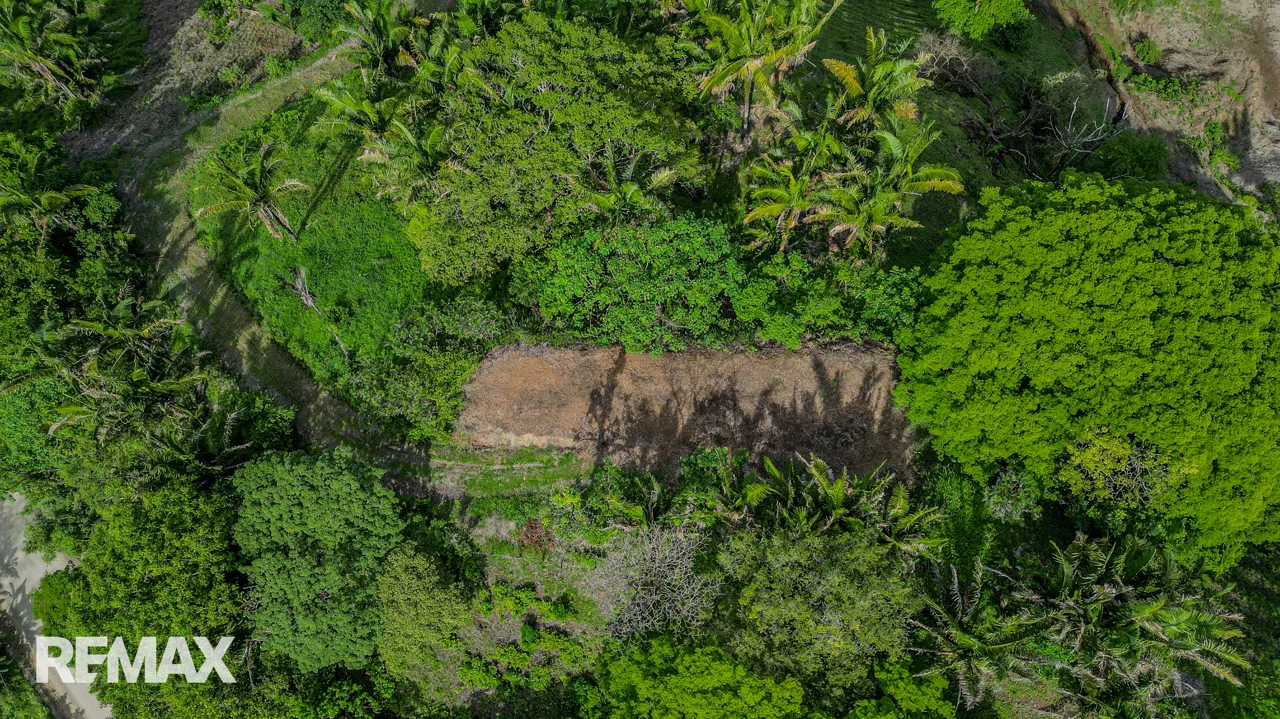 High-Visibility 1.02-Hectare Lot with 1-Bed Casita | San Fernando, photo 7