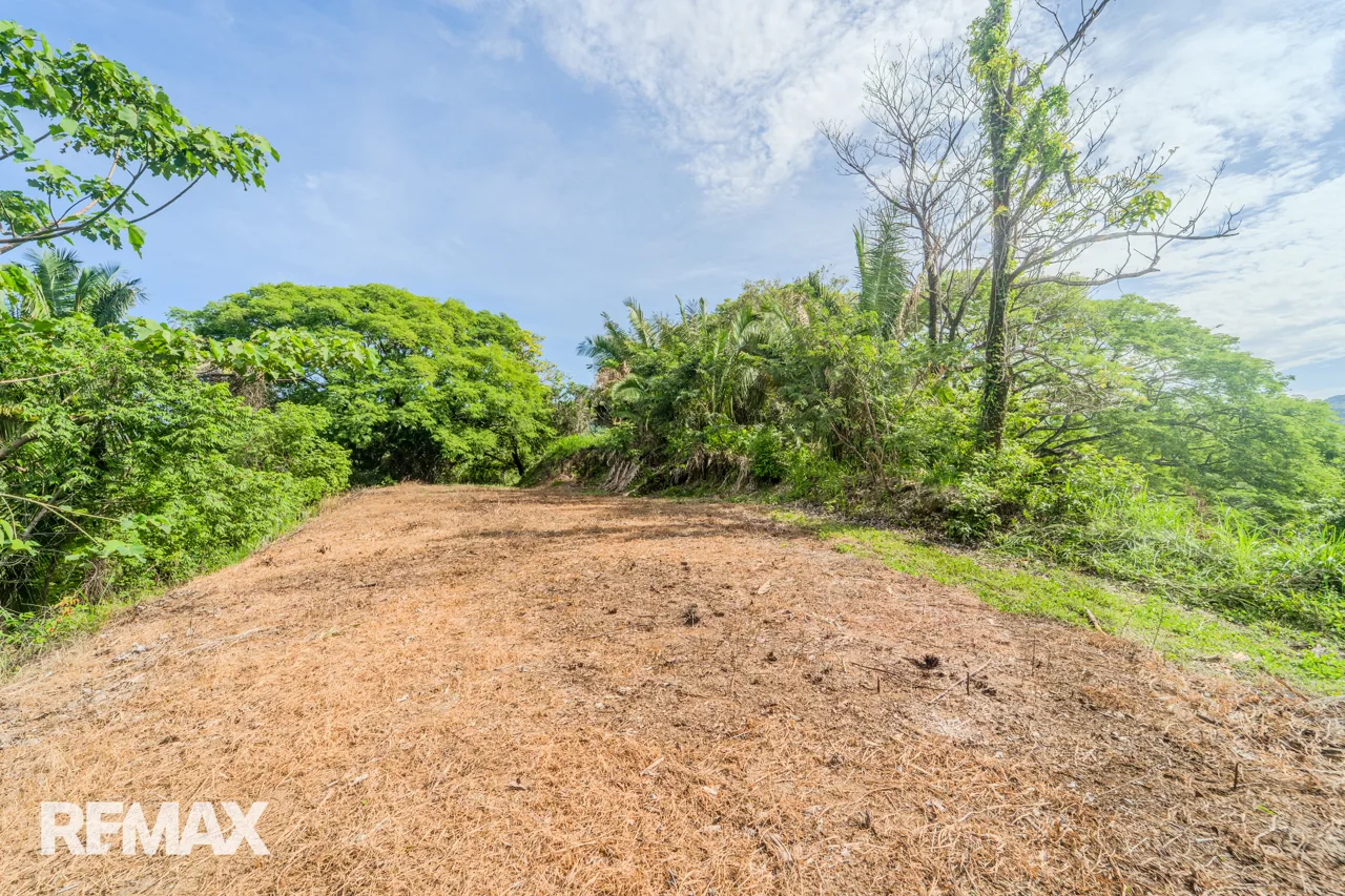 High-Visibility 1.02-Hectare Lot with 1-Bed Casita | San Fernando, photo 9