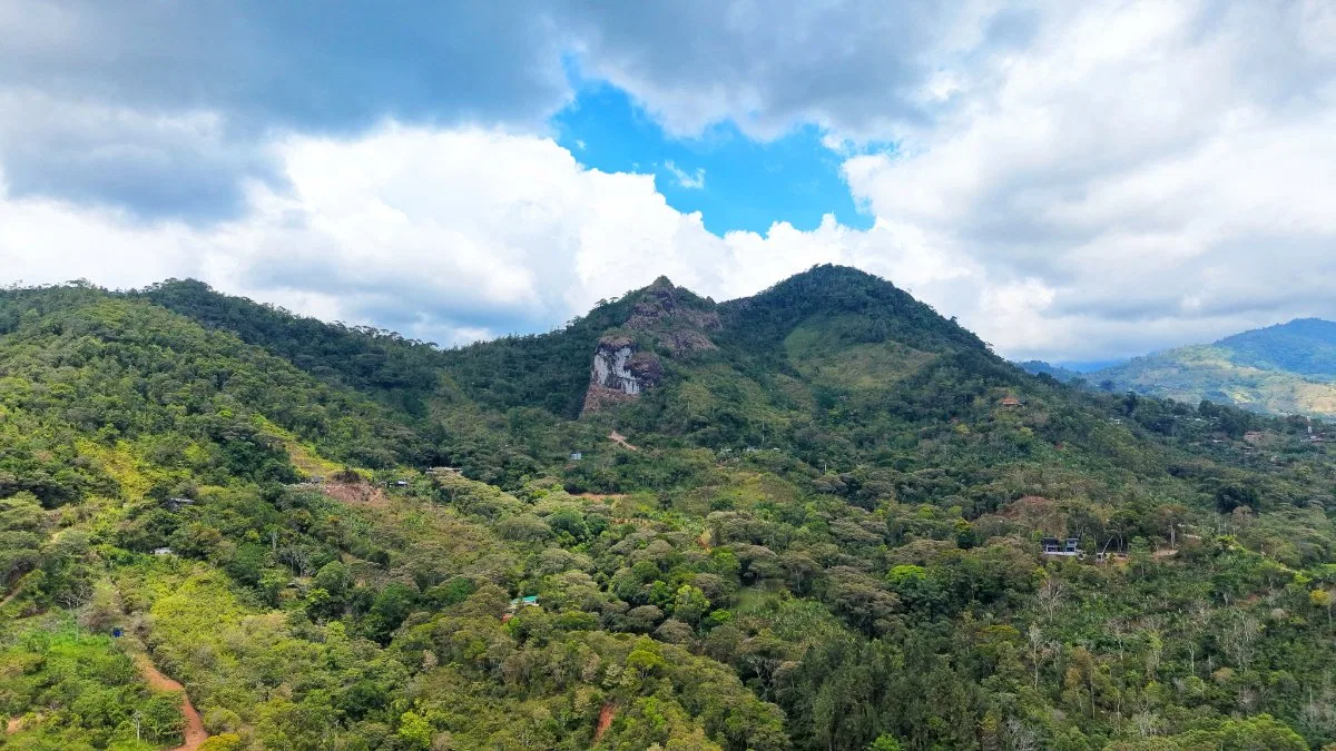 SE VENDE LOTE RESIDENCIAL EN LA MONTAÑA CON HERMOSAS VISTAS EN QUEBRADAS - Venta en Pérez Zeledón, photo 2