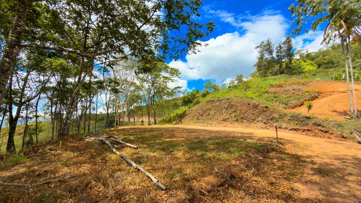 SE VENDE LOTE RESIDENCIAL EN LA MONTAÑA CON HERMOSAS VISTAS EN QUEBRADAS - Venta en Pérez Zeledón, photo 6