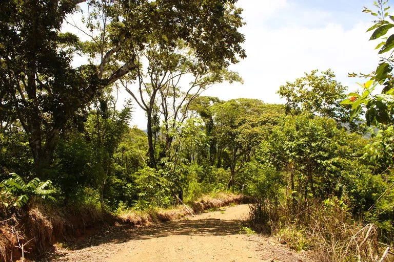 EXCLUSIVE 55-ACRE FARM: A RARE OPPORTUNITY IN CHONTALES, photo 26
