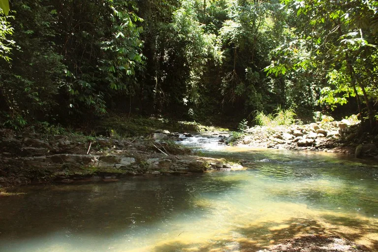 EXCLUSIVE 55-ACRE FARM: A RARE OPPORTUNITY IN CHONTALES, photo 33