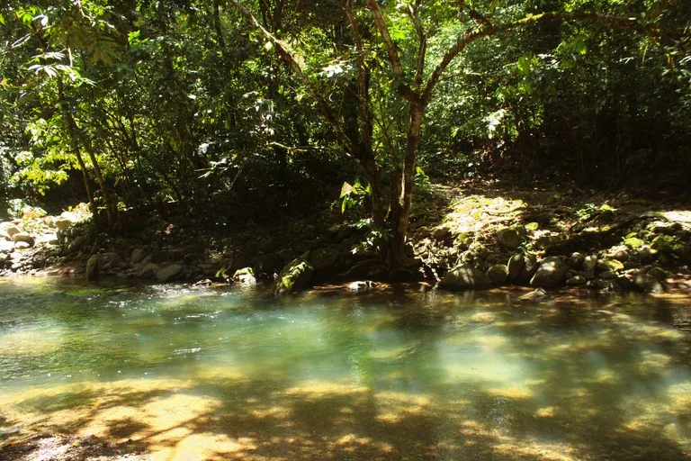 EXCLUSIVE 55-ACRE FARM: A RARE OPPORTUNITY IN CHONTALES, photo 34