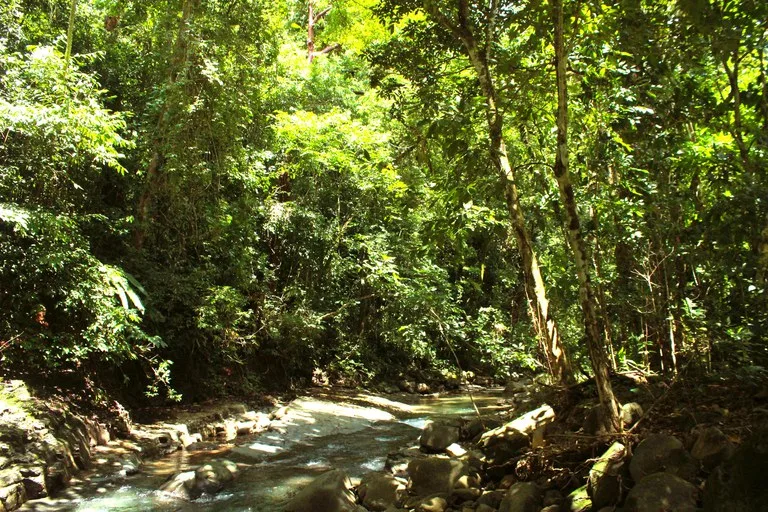EXCLUSIVE 55-ACRE FARM: A RARE OPPORTUNITY IN CHONTALES, photo 35