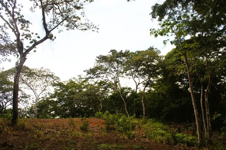 EXCLUSIVE 55-ACRE FARM: A RARE OPPORTUNITY IN CHONTALES, photo 36