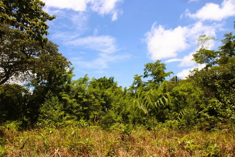 EXCLUSIVE 55-ACRE FARM: A RARE OPPORTUNITY IN CHONTALES, photo 27