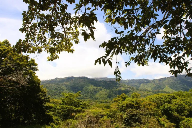 EXCLUSIVE 55-ACRE FARM: A RARE OPPORTUNITY IN CHONTALES, photo 29