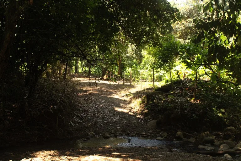 EXCLUSIVE 55-ACRE FARM: A RARE OPPORTUNITY IN CHONTALES, photo 30