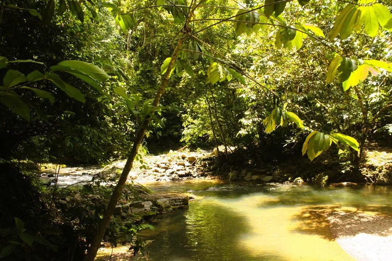 EXCLUSIVE 55-ACRE FARM: A RARE OPPORTUNITY IN CHONTALES, photo 31