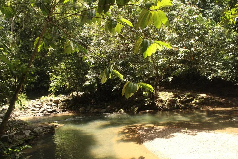 EXCLUSIVE 55-ACRE FARM: A RARE OPPORTUNITY IN CHONTALES, photo 32