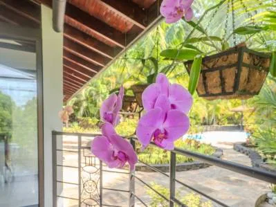 Bienvenido a la propiedad de sus sueños en el corazón de Cinco Ventanas, Costa Rica., photo 7