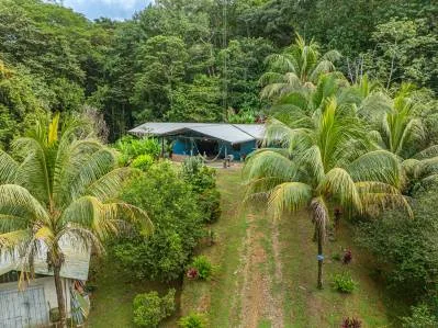 Refugio tropical: 7 acres de terreno aislado a orillas del río con una casa de 3 dormitorios, photo 4