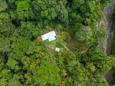 Refugio tropical: 7 acres de terreno aislado a orillas del río con una casa de 3 dormitorios, photo 5