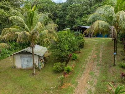 Refugio tropical: 7 acres de terreno aislado a orillas del río con una casa de 3 dormitorios, photo 7