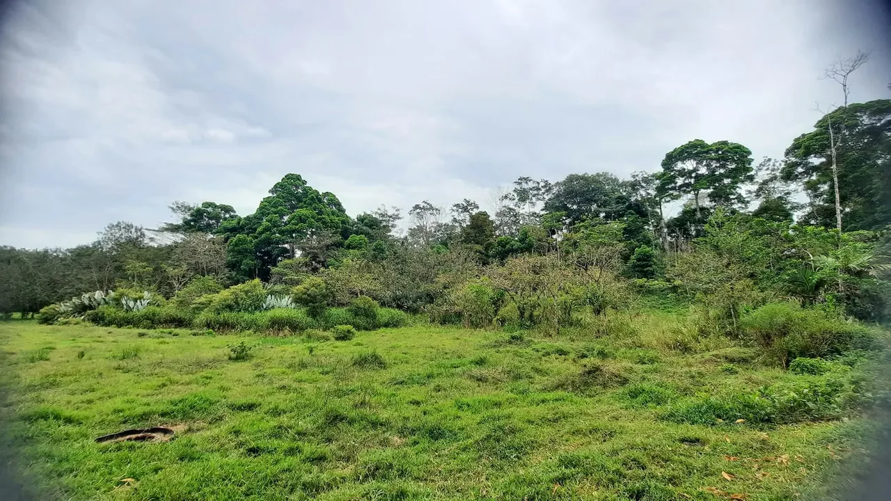 Ubicada a tan solo 15 minutos del centro de Guatuso, esta hermosa finca combina una ubicación estratégica con condiciones excepcionales para cultivo, reforestación o desarrollo de ..., photo 2