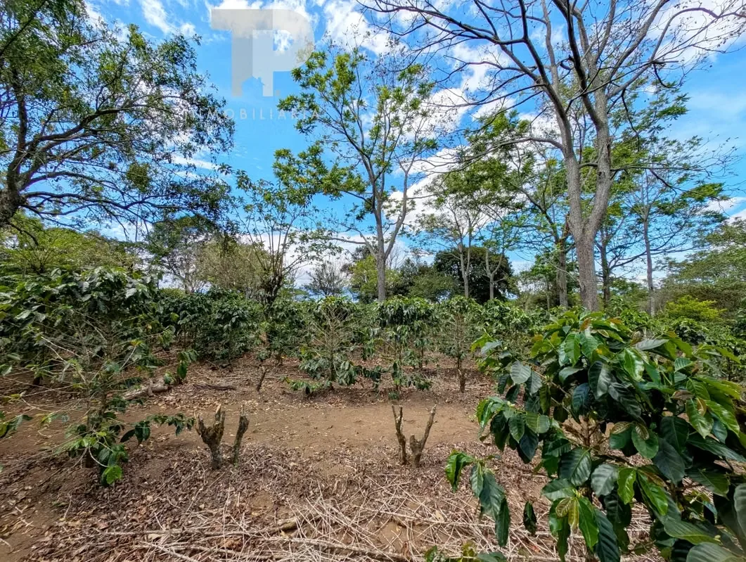 FOR SALE FARM IN BIRRÍ, SANTA BÁRBARA, HEREDIA ZSP3, photo 11
