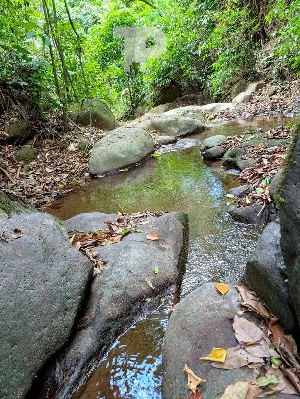 FOR SALE FARM IN BIRRÍ, SANTA BÁRBARA, HEREDIA ZSP3, photo 13