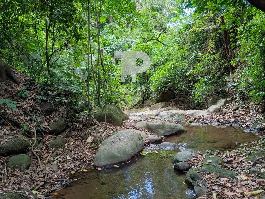 FOR SALE FARM IN BIRRÍ, SANTA BÁRBARA, HEREDIA ZSP3, photo 4
