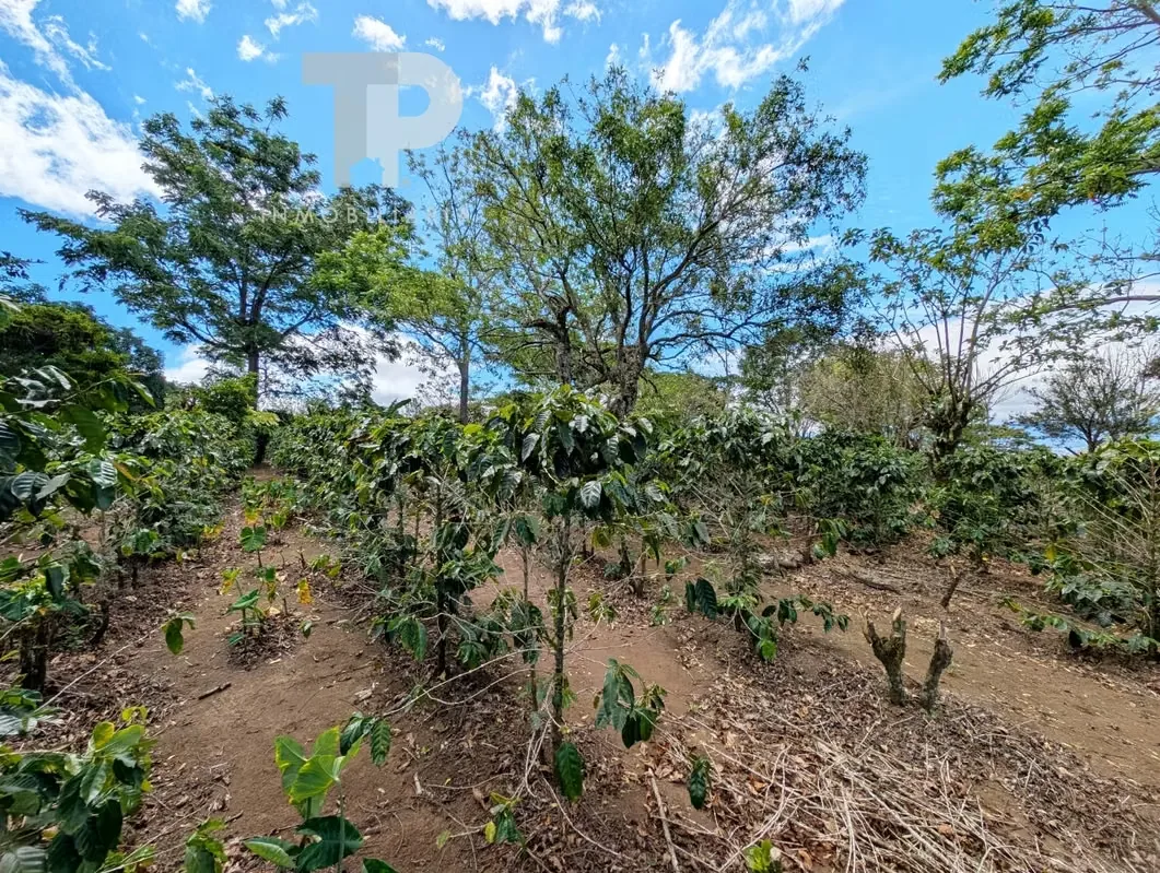 FOR SALE FARM IN BIRRÍ, SANTA BÁRBARA, HEREDIA ZSP3, photo 5