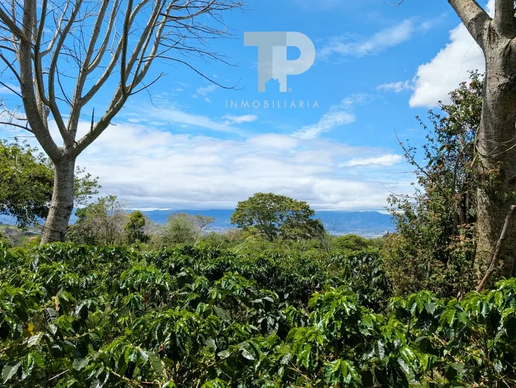 FOR SALE FARM IN BIRRÍ, SANTA BÁRBARA, HEREDIA ZSP3, photo 6
