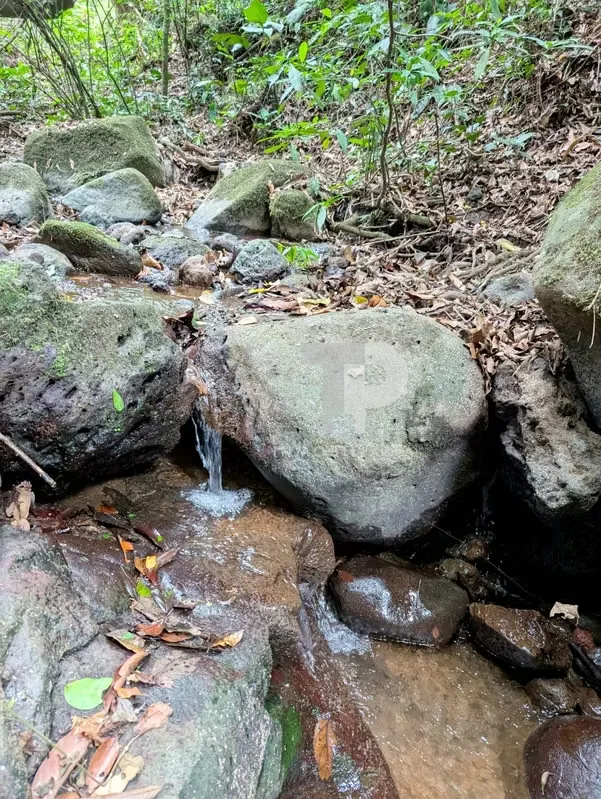 FOR SALE FARM IN BIRRÍ, SANTA BÁRBARA, HEREDIA ZSP3, photo 9