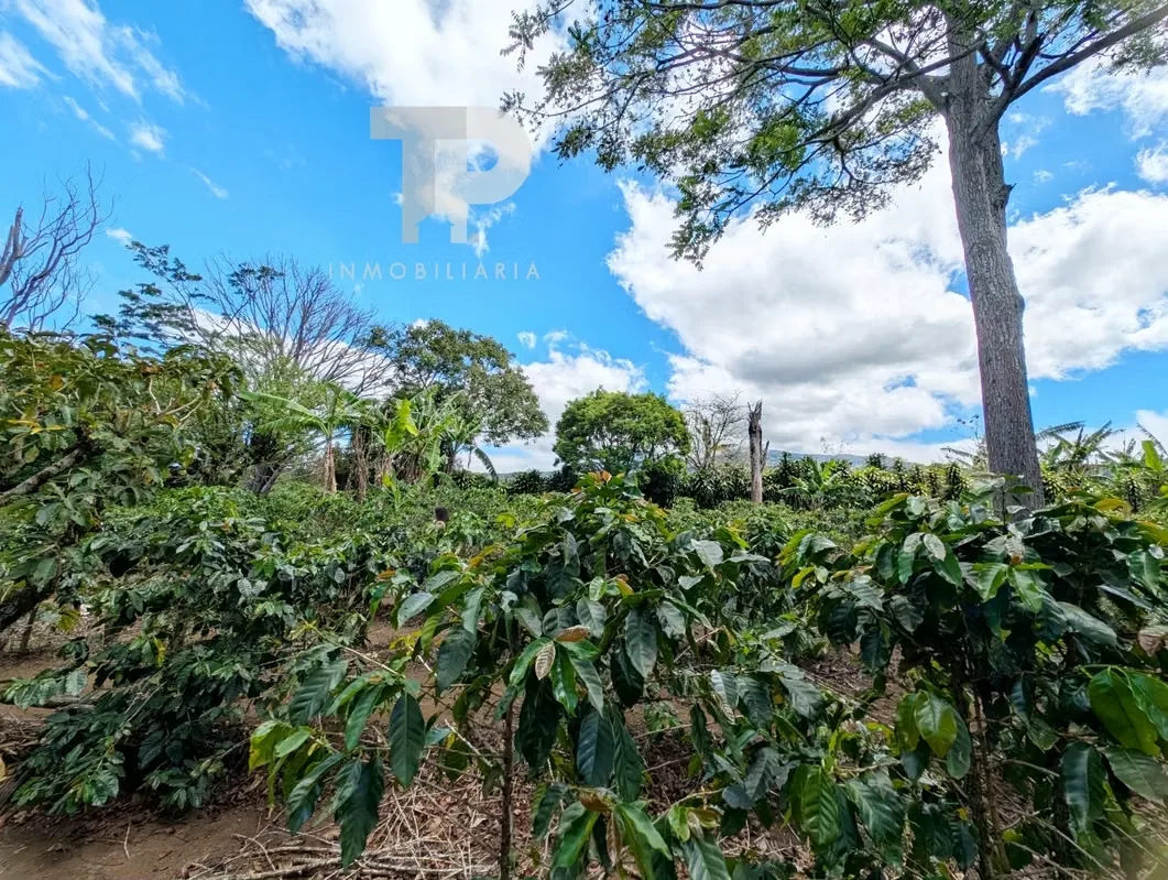 FOR SALE FARM IN BIRRÍ, SANTA BÁRBARA, HEREDIA ZSP3, photo 10