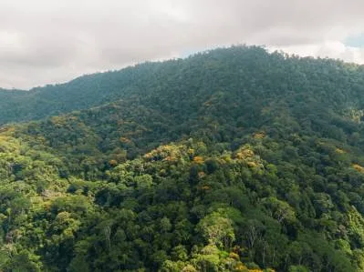 Reserva Forestal Nubosa de La Malouma