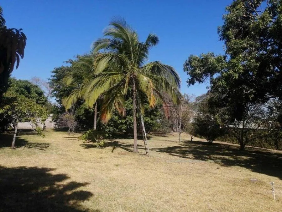 Venta de Lote en San José Mora. - Venta en Mora