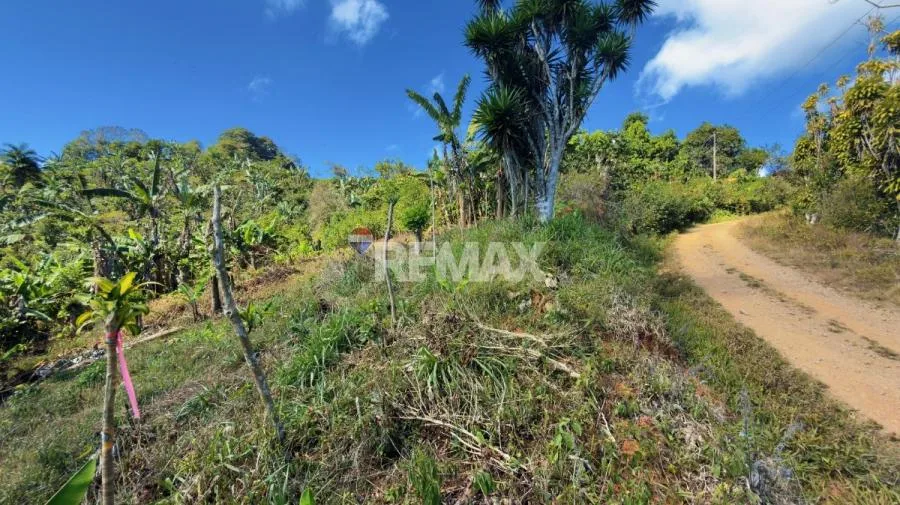 LOTE CON VISTA A LA CORDILLERA DE TALAMANCA EN PÉREZ ZELEDÓN - Venta en Perez Zeledón, photo 13