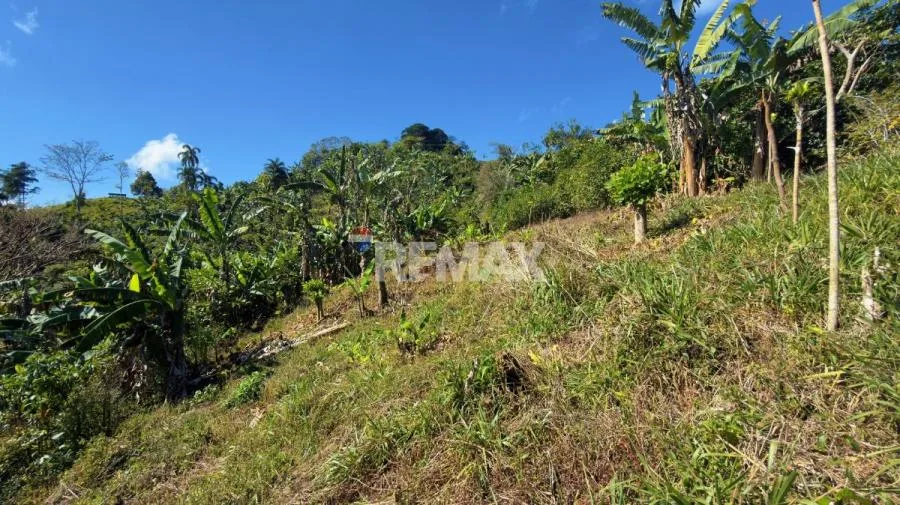 LOTE CON VISTA A LA CORDILLERA DE TALAMANCA EN PÉREZ ZELEDÓN - Venta en Perez Zeledón, photo 10