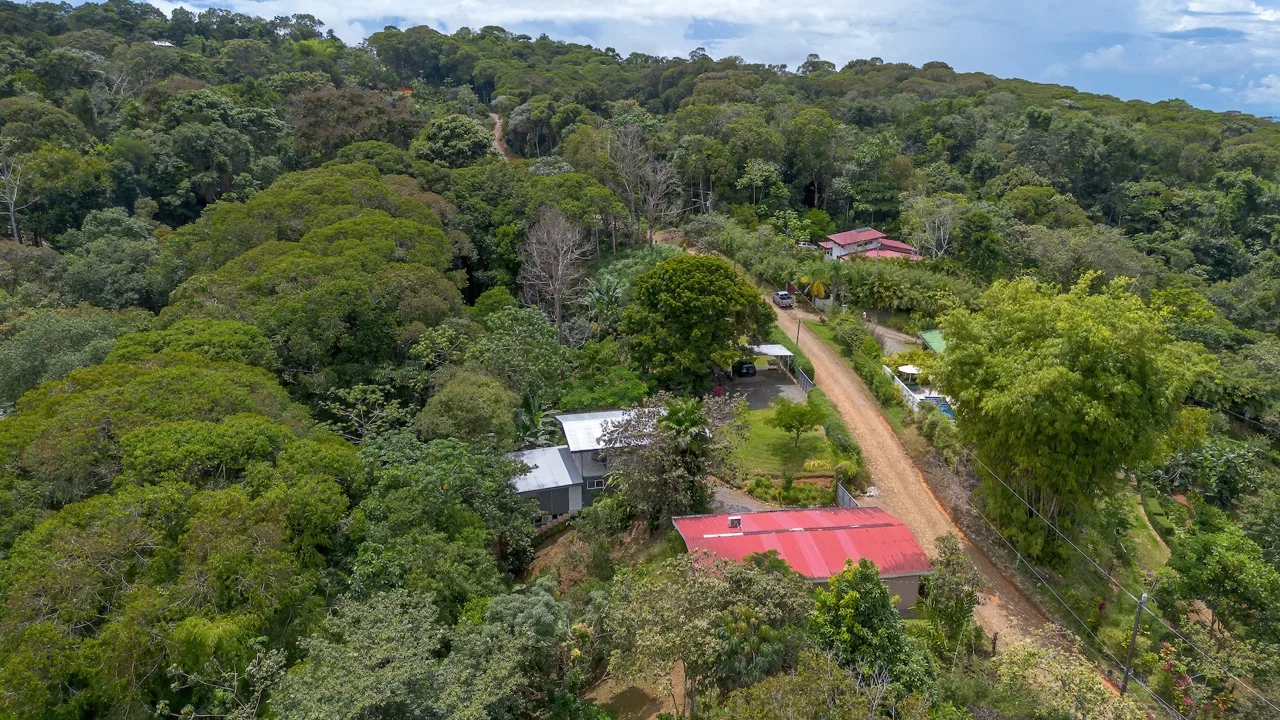 PROPERTY FOR A MULTI FAMILY WITH FOUR HOUSES, IN PLATANILLO – 1.21 ACRES, photo 15