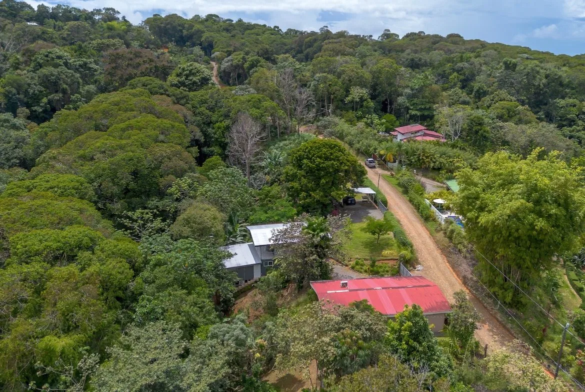 PROPERTY FOR A MULTI FAMILY WITH FOUR HOUSES, IN PLATANILLO – 1.21 ACRES, photo 16