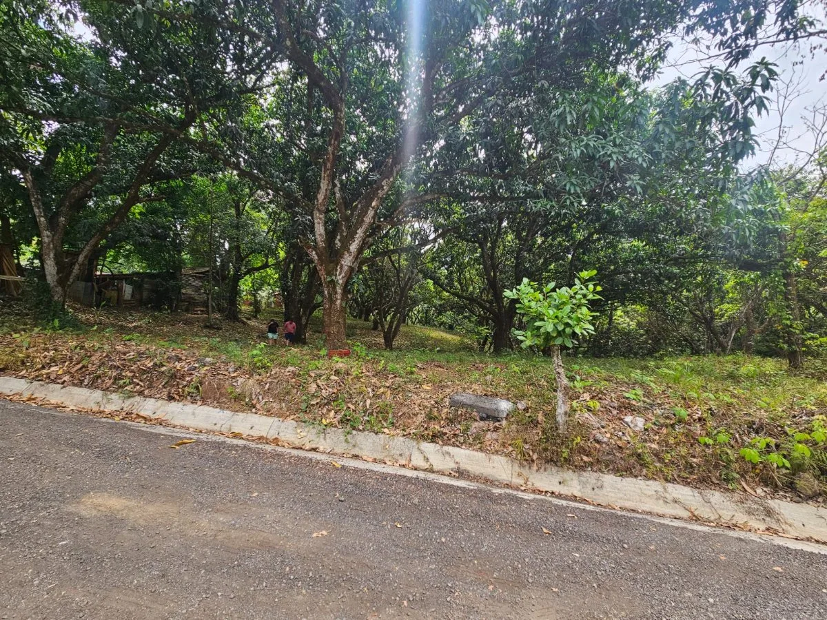 Lote tipo Quinta cerca del centro de San Pablo Turrubares Propiedades a 10 min de Ruta 27, con todos los servicios  - Venta en Turrubares, photo 7