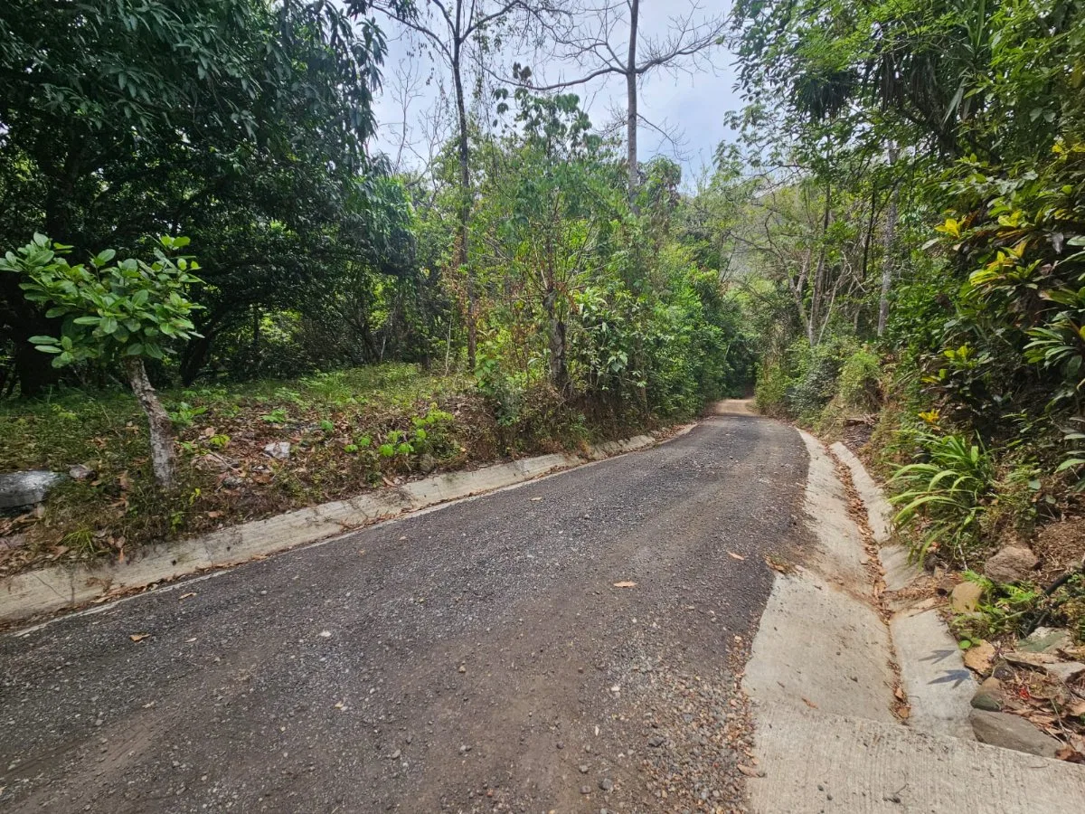 Lote tipo Quinta cerca del centro de San Pablo Turrubares Propiedades a 10 min de Ruta 27, con todos los servicios  - Venta en Turrubares, photo 9