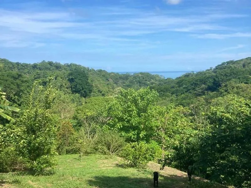 Land For Sale in Santiago