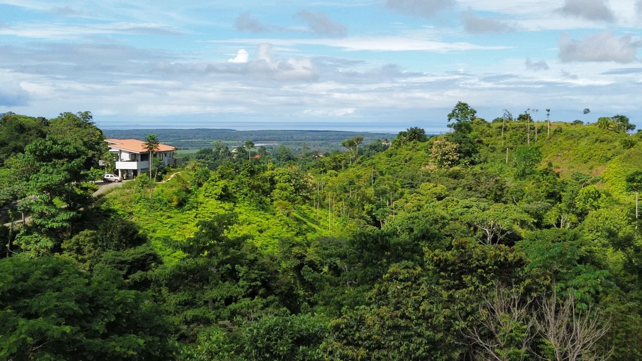 Steal of a Deal for an OCEAN VIEW Lot